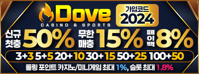 도브카지노